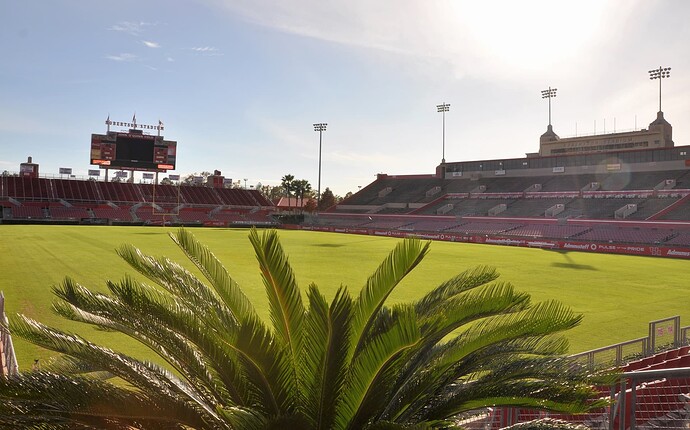 2009-12-19 Robertson Field & Palms