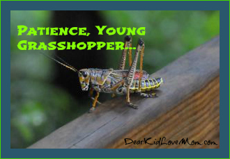 1082949994-Patience-young-grasshopper
